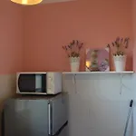 Private Pool Apt. With Great View פונשל