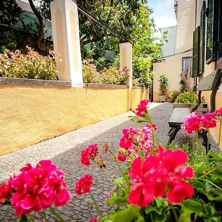 Private Pool Apt. With Great View アパート フンシャル