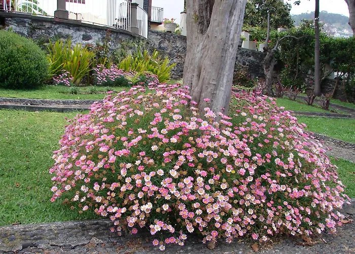 Apartament Private Pool Apt. With Great View Funchal (Madeira)