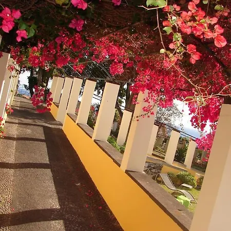 Apartmán Private Pool Apt. With Great View Funchal (Madeira)