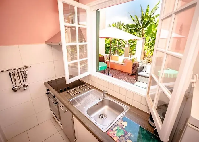 公寓 Private Pool Apt. With Great View 丰沙尔